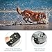 DIGOO Dog Training Collar, PPT1 Rechargeable and Waterproof 330yd Remote Dog Shock Collar with Beep, Vibration and Stimulation Electronic Collar, Fit Dogs (10Lbs-150Lbs) 3 Collar Paired