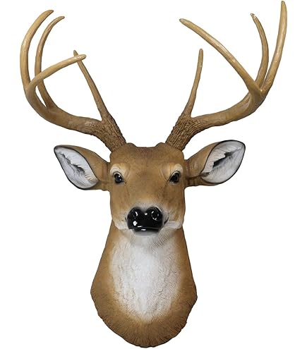 Amazon.com: Ebros Gift Rustic 8 Point Buck Stag Deer Wall Head