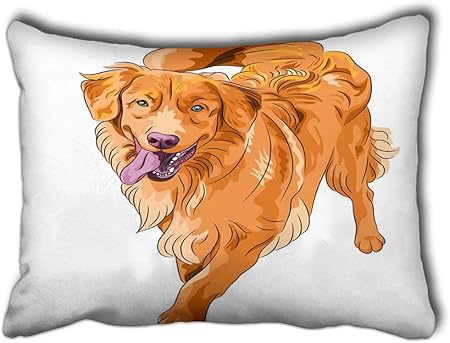 nova scotia duck tolling retriever standard