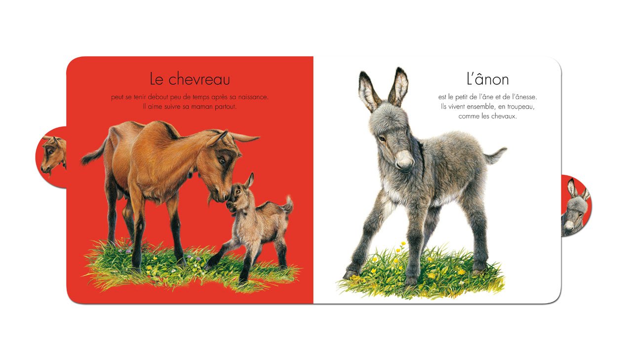 Les Animaux De La Ferme Cartonnes A Ong Boos Andre Amazon Com Books