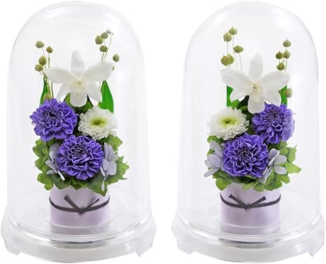 Amazon アートフォーシーズン お供え花 対デザインset リラ プリザーブドフラワー プリザーブドフラワー オンライン通販 Amazon アートフォーシーズン お供え花 対デザインset リラ プリザーブドフラワー プリザーブドフラワー オンライン通販