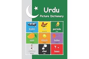 Urdu Picture Dictionary: with audio