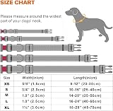 Taglory Reflective Nylon Dog Collar with Safety Buckle Red, Adjustable M view 6