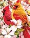 Springbok Springtime Cardinals Jigsaw Puzzle, 500-Piece