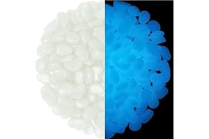 CHIC STYLE 4.8Lbs 1100pcs Glow in The Dark Stones Garden Pebbles Rocks Indoor Outdoor Decor Luminous Stone for Walkways Driveway Yard Grass (White in Daytime, Blue in Night)