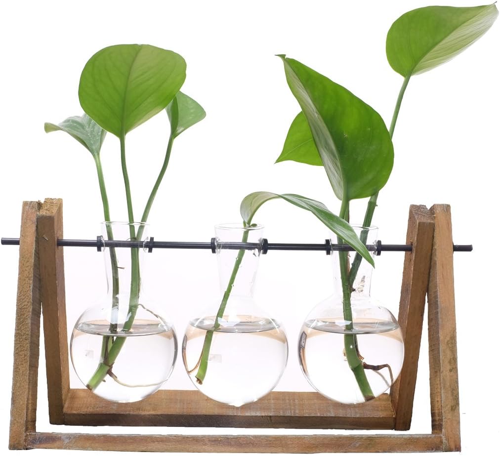 Terrarium Bulb Vase with Wooden Stand, Rustic Plant Mint Leaves and Spider Planter Holder for Home & Office Desk Decoration(3 Terrariums)