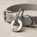 UKR Designs Solid Brass or Stainless Steel Dog ID Tag 3mm Deep Engraving view 6
