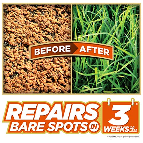 Pennington One Step Complete Bare Spot Repair Grass Seed Mix For