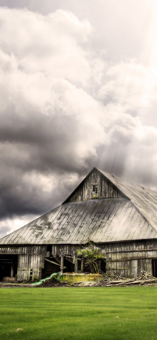 PeelitStickit, Beautiful Nature Wall Murals, ID-1157, vinyl