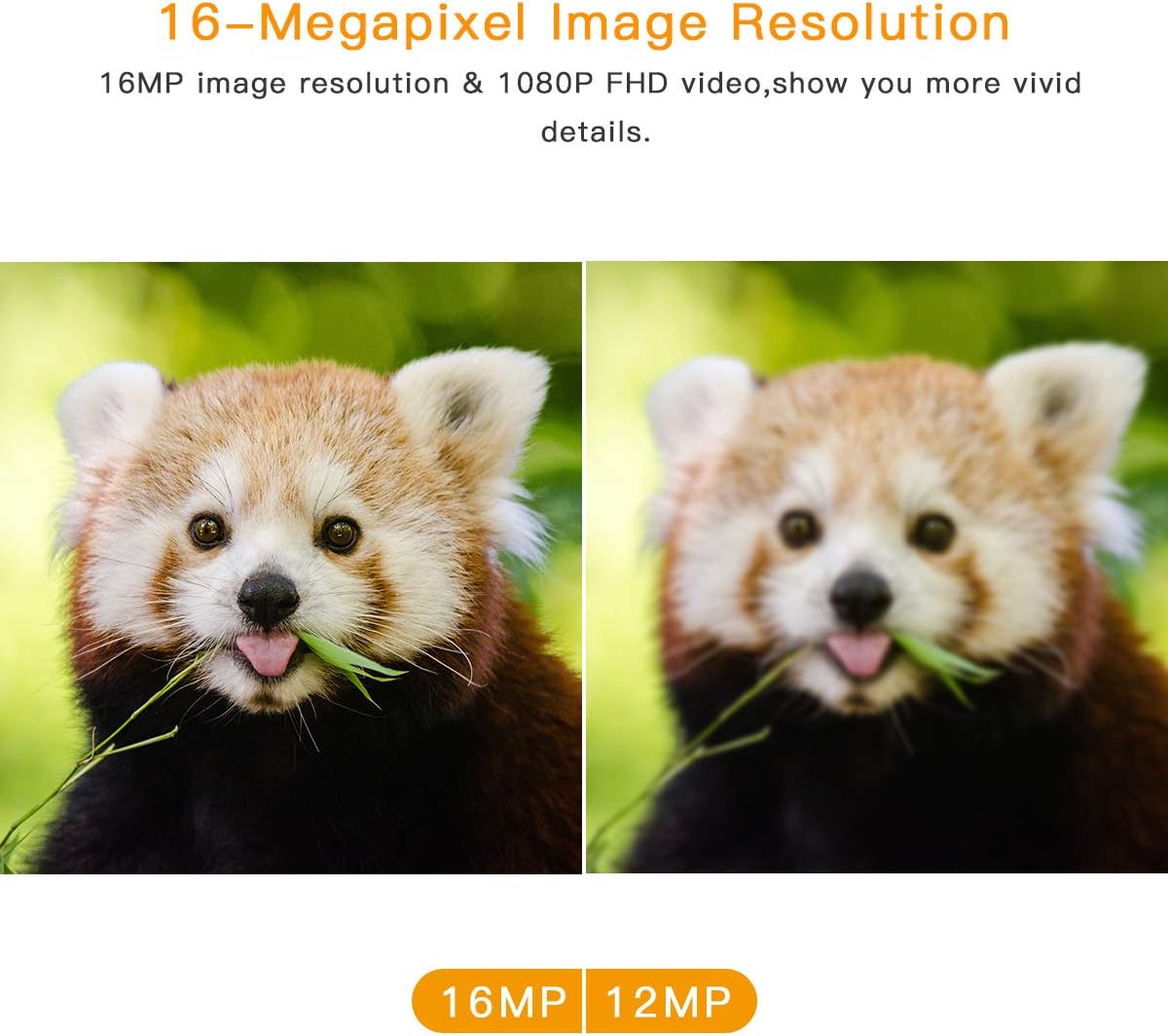 【2020 Upgrade】Campark Trail Camera-Waterproof 16MP 1080P Game Hunting Scouting Cam with 3 Infrared Sensors for Wildlife Monitoring with 120°Detecting Range Motion Activated Night Vision 2.4” LCD 42pcs: Camera & Photo