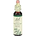 Bach Original Flower Remedies, Holly - Goodwill Towards Others - Natural Homeopathic Flower Essence for Emotional Balance - Vegan, Gluten Free, Sugar Free - 20mL Dropper