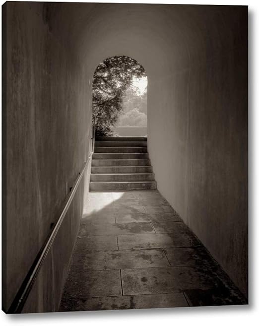 Amazon Com Banc De Jardin 78 By Alan Blaustein 16 X 20 Canvas Art Print Gallery Wrapped Ready To Hang Posters Prints