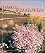 Chasing Wildflowers: A Mad Search for Wild Gardens by