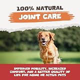 Pets Purest 100% Natural Turmeric for Dogs Cats & Pets 60 Capsules 10000mg view 4