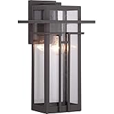 Progress Lighting Boxwood Collection 1-Light Clear Seeded Glass Craftsman Outdoor Large Wall Lantern Light Antique Bronze, 16