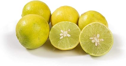 Fresh Lemon, 6 Pieces Pack