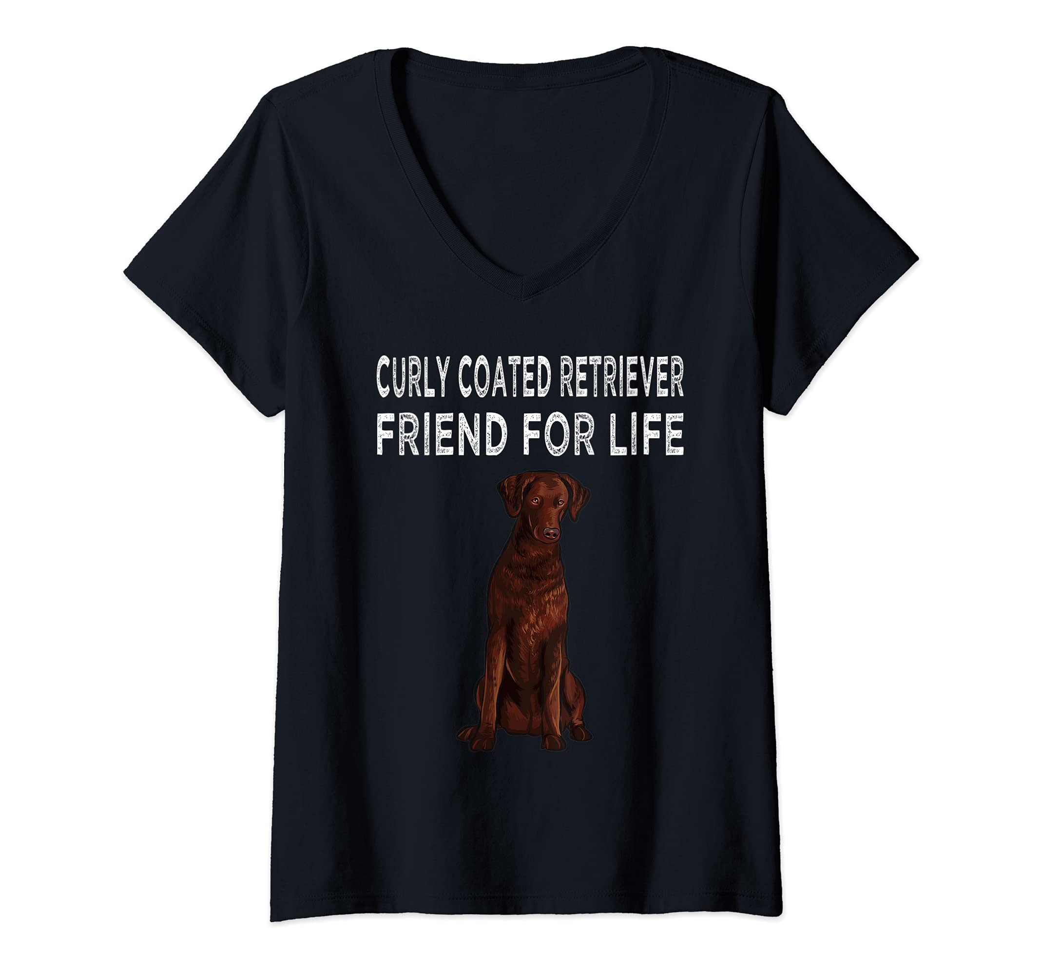 Womens Curly-Coated Retriever Friend For Life Dog Friendship V-Neck T-Shirt