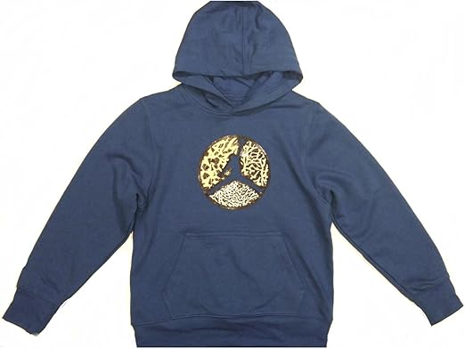 royal blue jordan hoodie