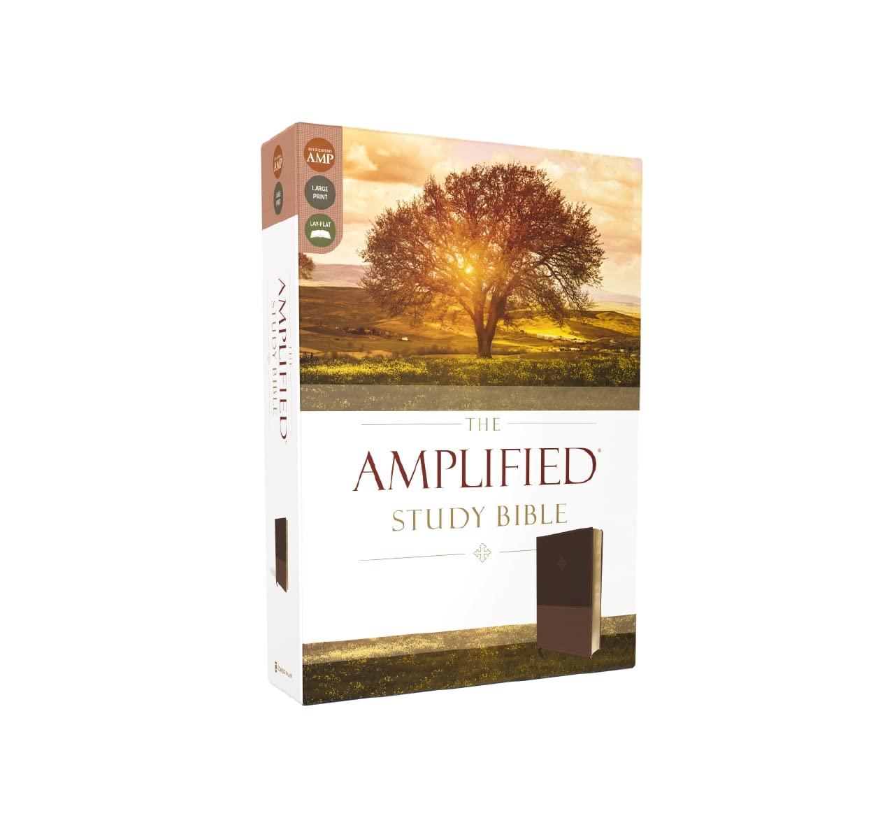 The Amplified Study Bible, Leathersoft, Brown [Large Print] The Amplified Study Bible, Leathersoft, Brown [Large Print] Imitation Leather