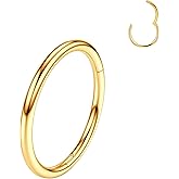 Titanium Nose Rings Hoops 16G 18G 20G Hinged Nose Piercing Hoop G23 Septum Click Nose Rings Lip Rook Lobe Tragus Helix Daith Conch Cartilage Hoop Earrings