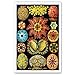 NATURAL CURIOSITIES by Ernst Haeckel postcard set of 20 postcards. Botanical illustrations theme post card variety pack. Made in USA.
