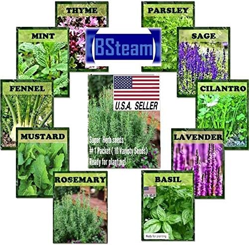 3,000+ Super Herb Seeds Bulk 11 Varieties Peppermint, Rosemary, Lavender, Thyme!