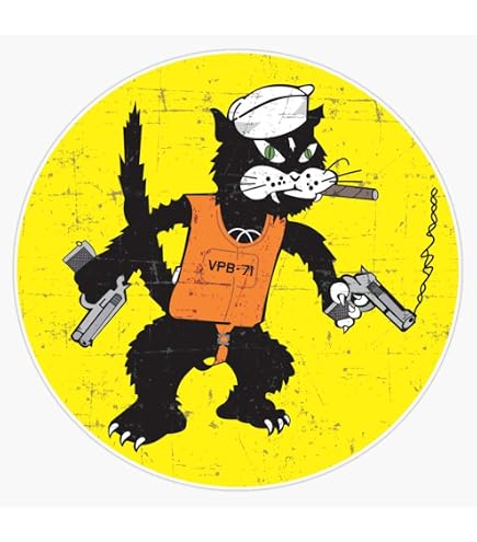 Amazon.com: Usn Black Cat Composite Squadron Vc-13 - Wwii Sticker