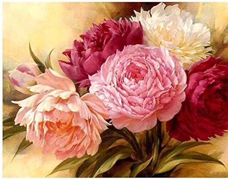 Amazon Co Jp Nc68 母の花カーネーションdiyダイヤモンド絵画スクエアラインストーンモザイクダイヤモンド刺繍家の家庭の装飾 Generic
