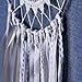 Dream Catcher ~ Handmade Traditional Feather Pendant Wall Hanging Home Decoration Decor Ornament Craft (Lace)