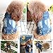 SILD Pet Clothes Dog Jeans Jacket Cool Blue Denim Coat Small Medium Dogs Lapel Vests Classic Hoodies Puppy Blue Vintage Washed Clothes