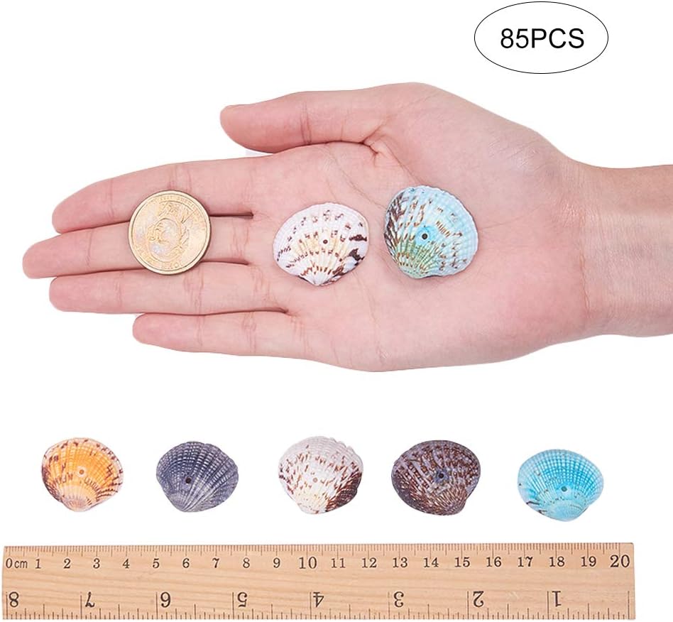 PH PandaHall 50pcs Dyed Sea Shells Scallop Shells Natural Conch Shell Beads Drilled Tiny Scallop Sea Shell for Crafting Hanging Decoration Making Beach Party Garland Wedding Decor 1.2~1.4 Inch - Image 3
