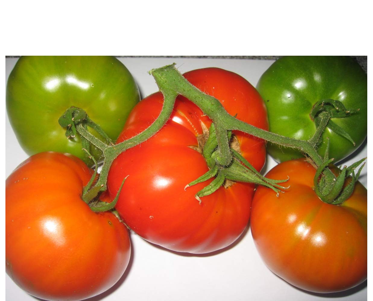 Premier Seeds Direct Tomato Brandywine Red includes 100 Seeds Amazon