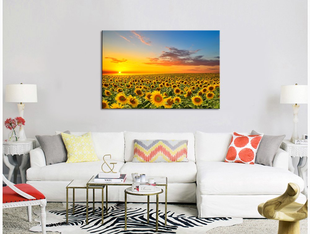https://images-na.ssl-images-amazon.com/images/I/61AOWdIvGbL.jpg