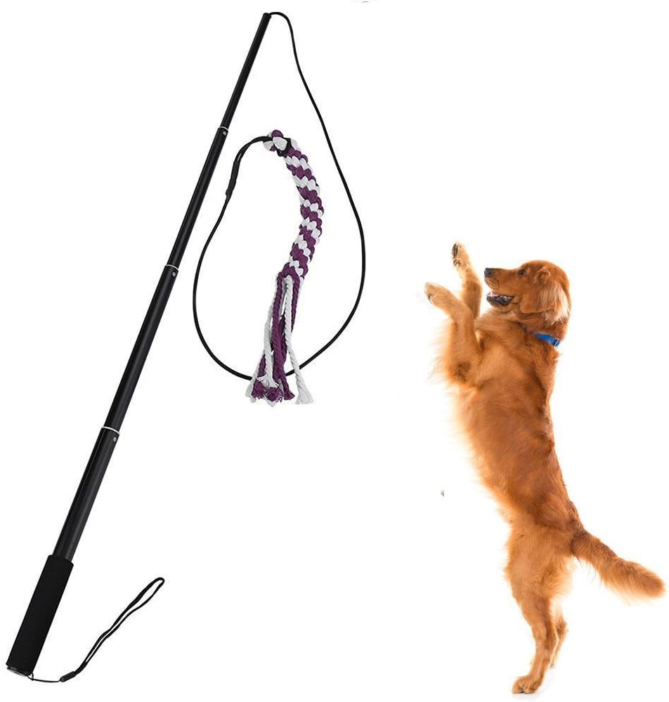 Sanzang Outdoor Interactive Dog Toys Extendable Flirt Pole Funny Chasing Tail Teaser and Exerciser for Pets (L, Black)