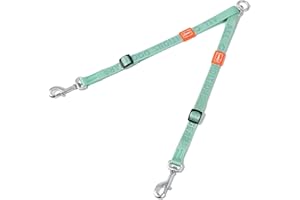 HOWGO Double Dog Leash, No Tangle 360° Swivel, Adjustable Two Padded Handles, Double Clip Dog Leash Coupler Splitter for Large and Medium Breeds (Mint Green, 4/5'' x 0.9 FT)