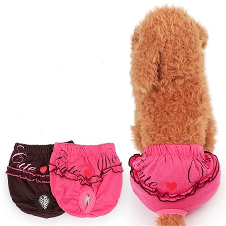 Fully 2stk. Hundeschutzhose Monatshöschen Hündinnen Läufig Pant Sanitär Windel Physiologische Unterwäche Hygieneunterhose Für