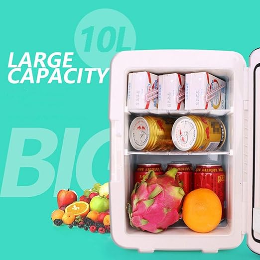 GXRck Refrigerador de Coches de 10 litros y 12 voltios Incubadora ...