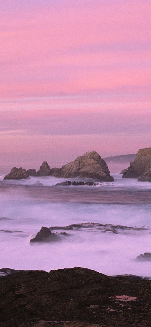 PeelitStickit, Beautiful Nature Wall Murals, ID-0808, vinyl