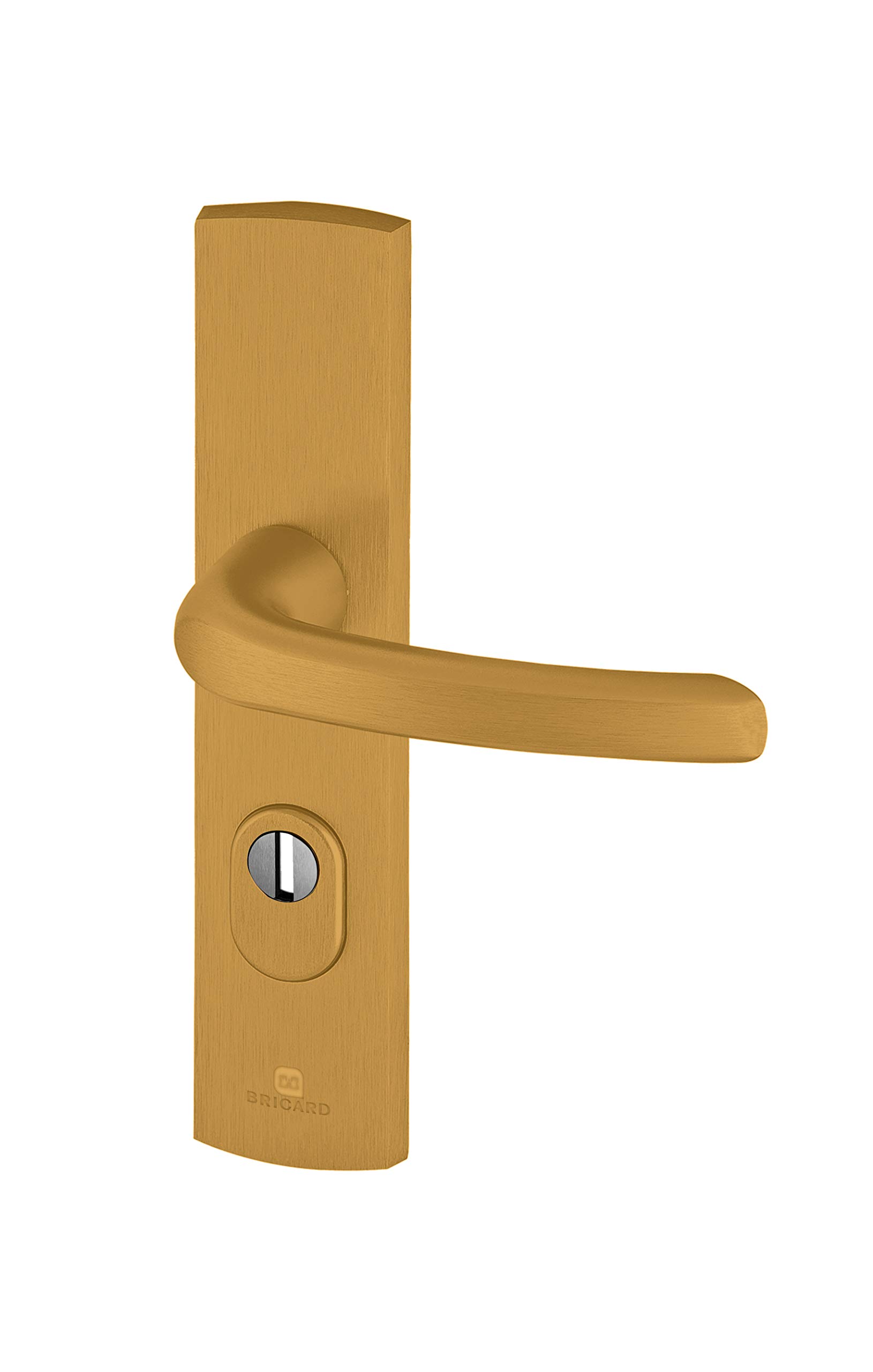 Bricard 9920131 Door Handles Shielded on Plate EMUST Gold — image 1
