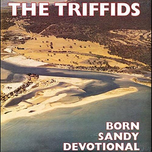 Born Sandy Devotional [VINYL]