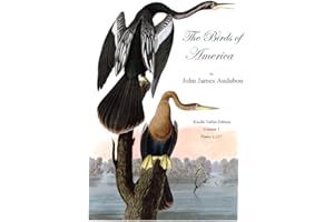 The Birds of America Volume 1