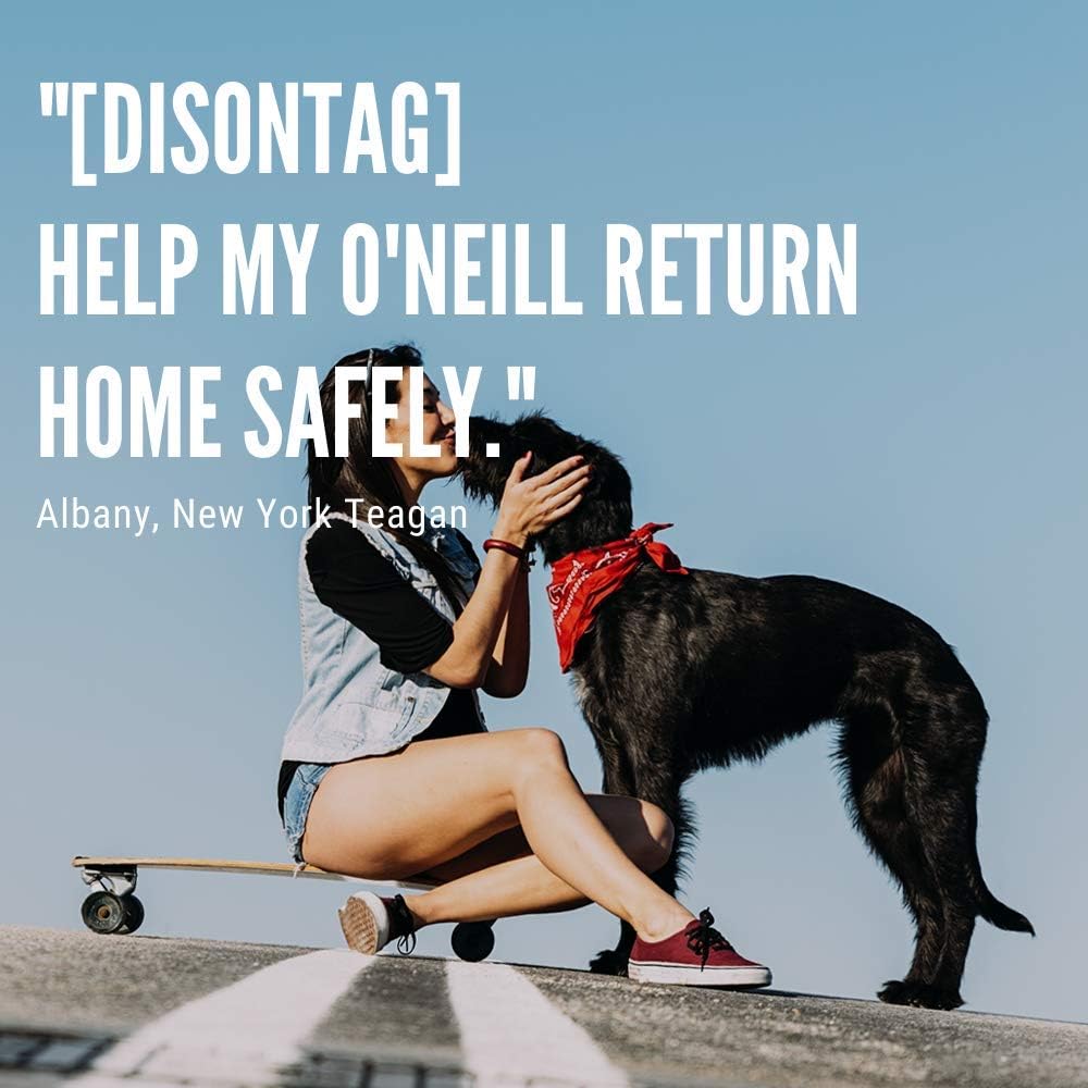 DISONTAG Pet ID Tags, Personalized Dog Tags, Custom Dog Tags, 41 Lifelike Patterns, Unique Information Display|Modifiable : Pet Supplies