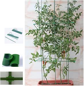 SOULOS - Soporte de plástico para macetas de Plantas trepadoras ...