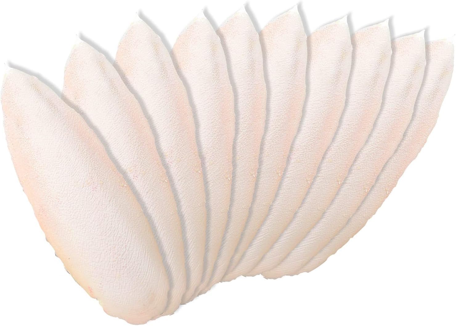 Newsmy 11 Pack Cuttlefish Bone for Birds, Natural Cuttlebone for Parrots and Budgies, Calcium Chew for Beak Care, Suitable for Snails and Tortoise [11Pcs 10CM]