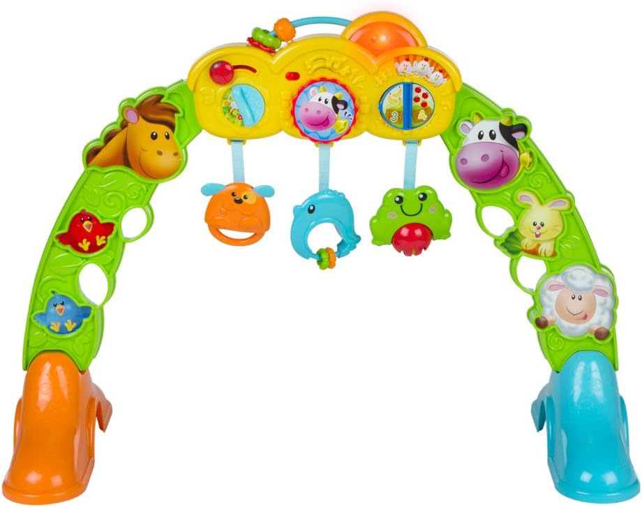 winfun 44530 Baby Gym with Light and Sound Assorted Colour/Model