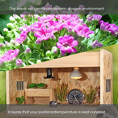 CDMALL Digital Heat Mat Thermostat Temperature Controller 68-108 ºF for Seed Germination, Reptiles,Rooting, Fermentation and Brewing - Thumbnail 5