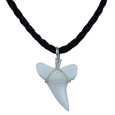 Shark Tooth Necklace For Kids – Kids Matttroy