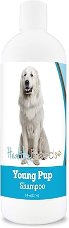shampoo for great pyrenees