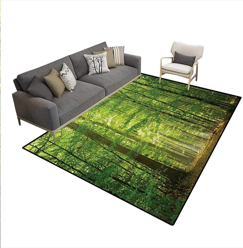 Best oxy green carpet cleaning