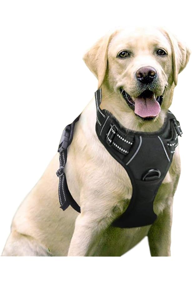 kong max padded harness